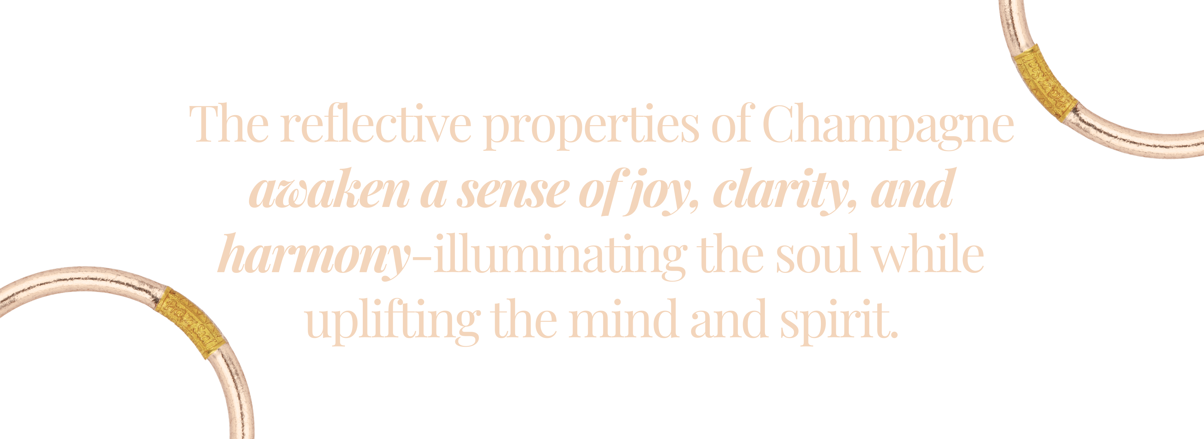 Champagne Core Evolution Stack