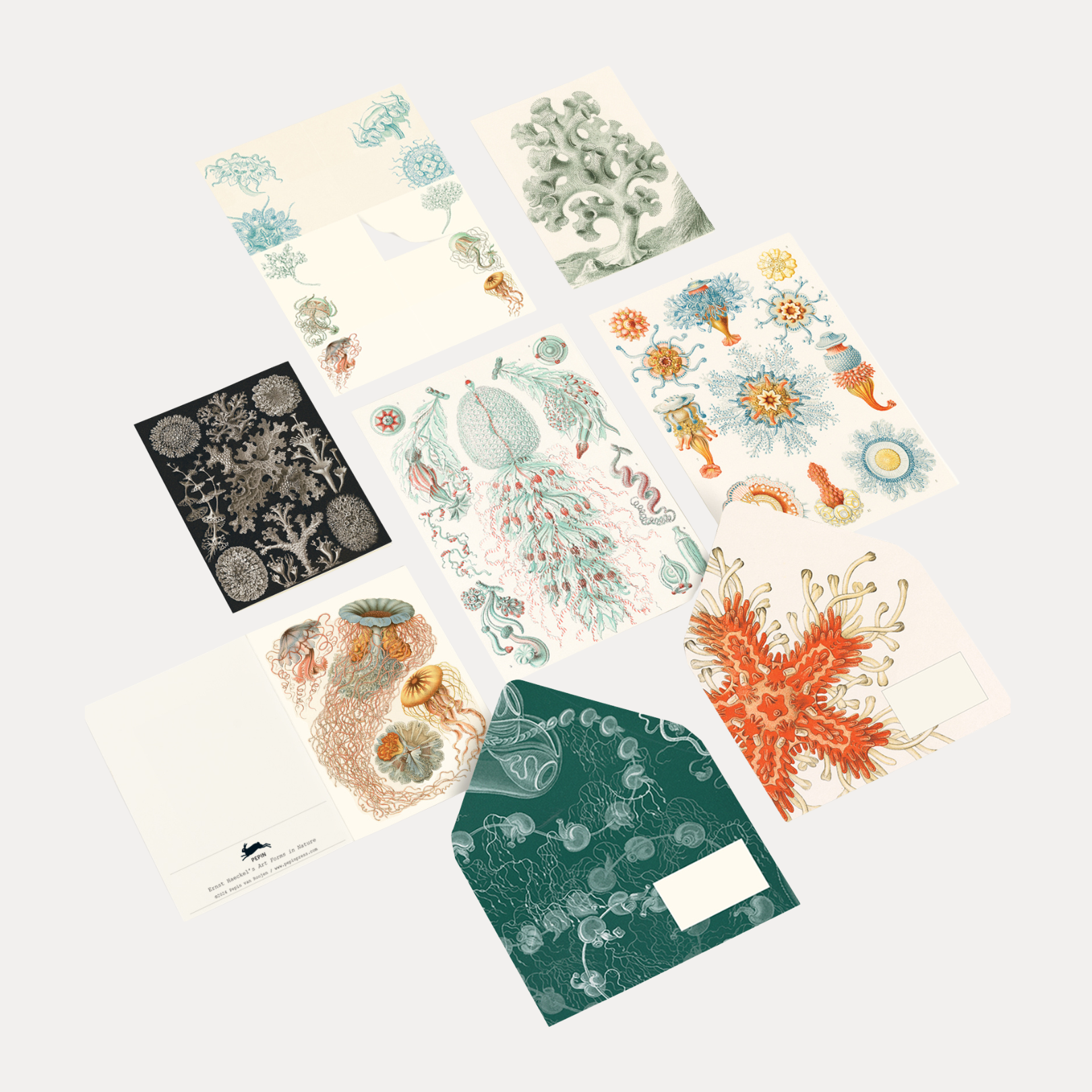 The Pepin Press Correspondence Set - Art Forms in Nature | Shop at BuDhaGirl