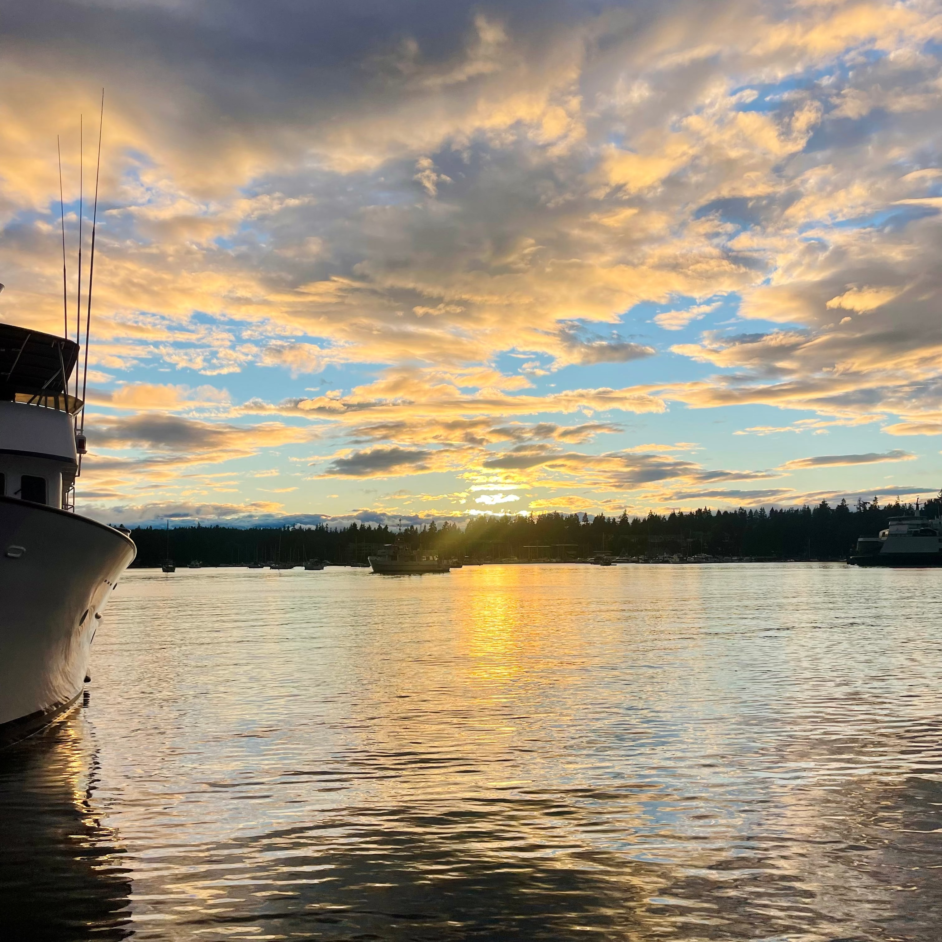 THE RETURN: A BuDhaGirl Wellness Collective Retreat