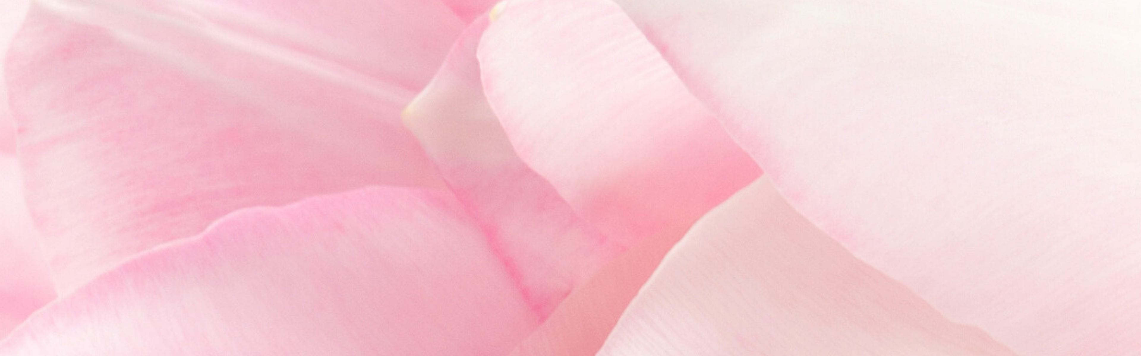 Mother's Day Banner.png__PID:114b9188-6778-4a1b-8448-d12815ba8ce4