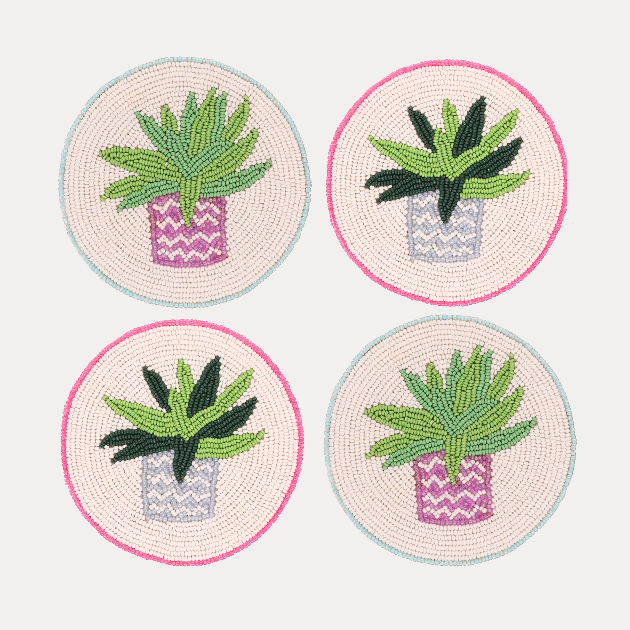 Succulent Coasters - Set of 4