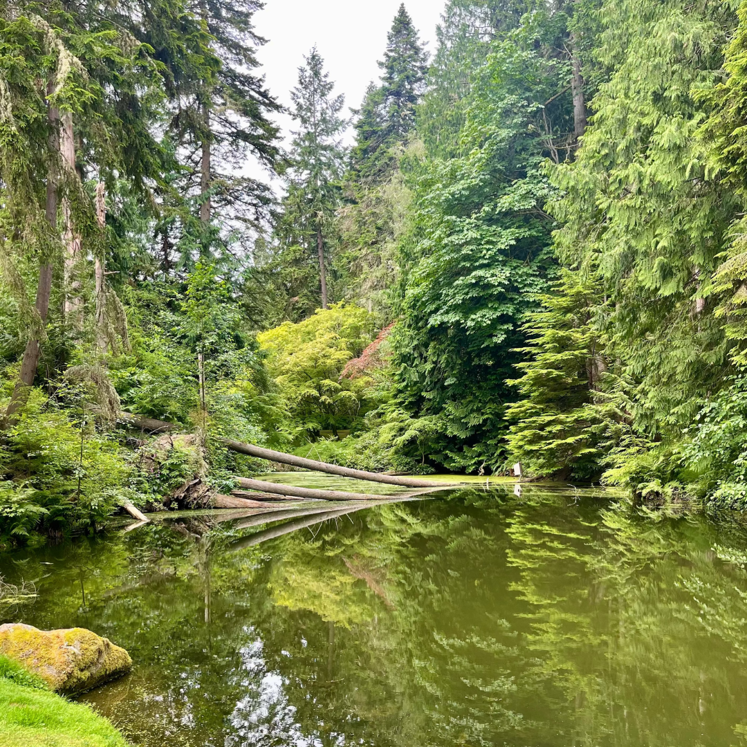THE RETURN: A BuDhaGirl Wellness Collective Retreat